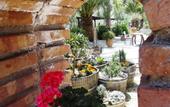 Туры в отель Stella's Traditional Inn