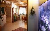 Туры в отель Alpen Andalo Club Hotel