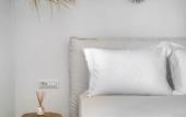 Туры в отель Ftelia beach