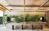 Туры в отель Nohga Hotel Kiyomizu Kyoto