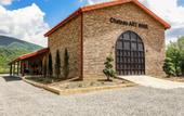 Туры в отель Chateau Artwine Hotel