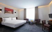 Туры в отель Galway Forest Lodge Hotel