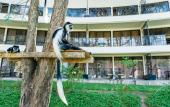Туры в отель Osotua Luxury Resort