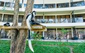 Туры в отель Osotua Luxury Resort