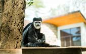 Туры в отель Osotua Luxury Resort