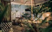 Туры в отель Afro Zanzibar