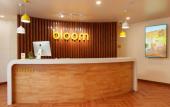 Туры в отель Bloom Boutique - Connaught Place Area