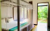 Туры в отель Sungreen Cottage Sigiriya