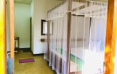 Туры в отель Sungreen Cottage Sigiriya