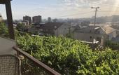 Туры в отель Hillside Guest house