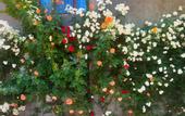 Туры в отель Hillside Guest house