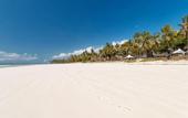 Туры в отель Safari Beach Hotel