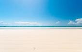 Туры в отель Safari Beach Hotel