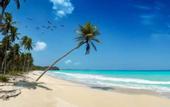 Туры в отель Safari Beach Hotel
