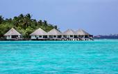 Туры в отель Gangehi Island Resort & Spa