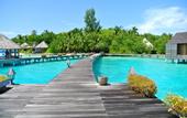 Туры в отель Gangehi Island Resort & Spa