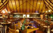 Туры в отель Gangehi Island Resort & Spa