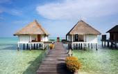 Туры в отель Gangehi Island Resort & Spa