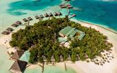 Туры в отель Gangehi Island Resort & Spa