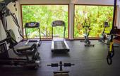 Туры в отель Gangehi Island Resort & Spa