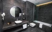 Туры в отель Holiday Inn Telavi, an IHG Hotel