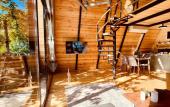 Туры в отель Chalet GreenWood Cottages Merisi