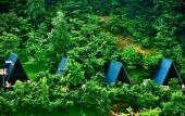 Туры в отель Chalet GreenWood Cottages Merisi