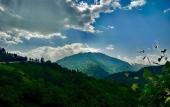 Туры в отель Chalet GreenWood Cottages Merisi