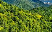 Туры в отель Chalet GreenWood Cottages Merisi