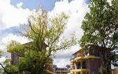 Туры в отель Garden Beach Hotel