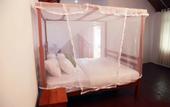 Туры в отель Sinharaja Forest Sanctuary Hotel