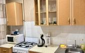 Туры в отель Apartments for you on Chkalova Street