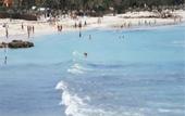 Туры в отель Minotel Djerba Resort