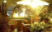 Туры в отель Garden Resort