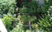 Туры в отель Royal Boutique Hotel on Kievyan Boutique-Hotel