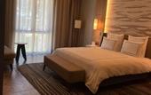 Туры в отель Swissotel Uludag Bursa
