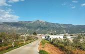 Туры в отель Inn House Oludeniz Hotel
