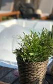 Туры в отель Inn House Oludeniz Hotel
