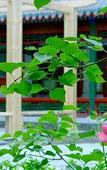 Туры в отель Garden View YWCA Hong Kong