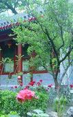 Туры в отель Garden View YWCA Hong Kong
