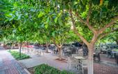 Туры в отель Gardenia Beach