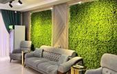 Туры в отель Hotel Tarmita Plaza