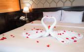 Туры в отель La Casta Cruise