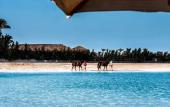 Туры в отель Gravity Hotel & Aqua Park Hurghada  Families and Couples Only