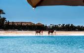 Туры в отель Gravity Hotel & Aqua Park Hurghada  Families and Couples Only