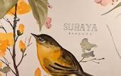 Туры в отель Suraya Bangkok