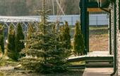 Туры в отель The Caucasian Healer Hotel