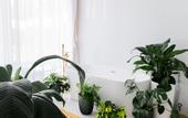 Туры в отель The Caucasian Healer Hotel