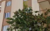 Туры в отель Tas Family Suite