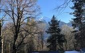 Туры в отель Aishah House Chalet